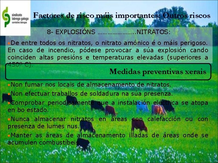 Factores de risco máis importantes: Outros riscos 8 - EXPLOSIÓNS …………………. . NITRATOS: •