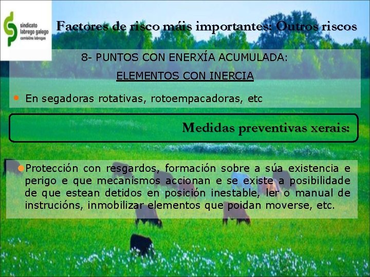 Factores de risco máis importantes: Outros riscos 8 - PUNTOS CON ENERXÍA ACUMULADA: ELEMENTOS