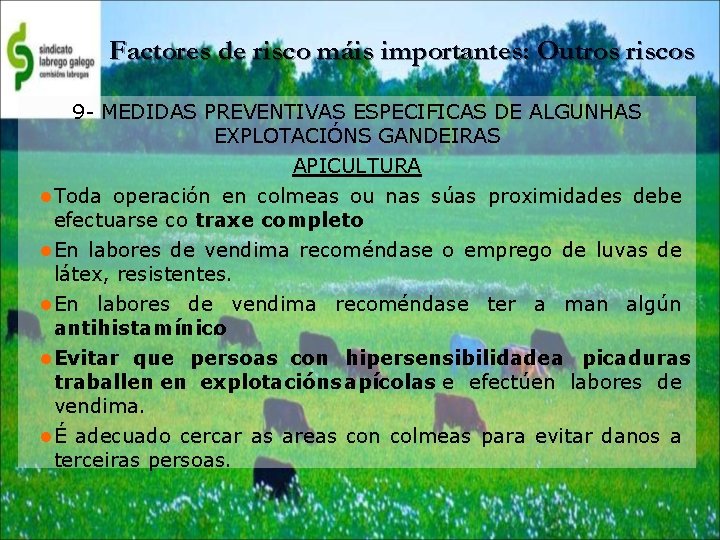 Factores de risco máis importantes: Outros riscos 9 - MEDIDAS PREVENTIVAS ESPECIFICAS DE ALGUNHAS