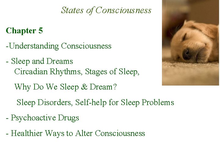 States of Consciousness Chapter 5 -Understanding Consciousness - Sleep and Dreams Circadian Rhythms, Stages