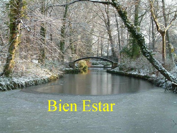 Bien Estar 