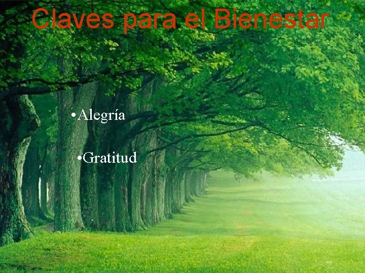 Claves para el Bienestar • Alegría • Gratitud 