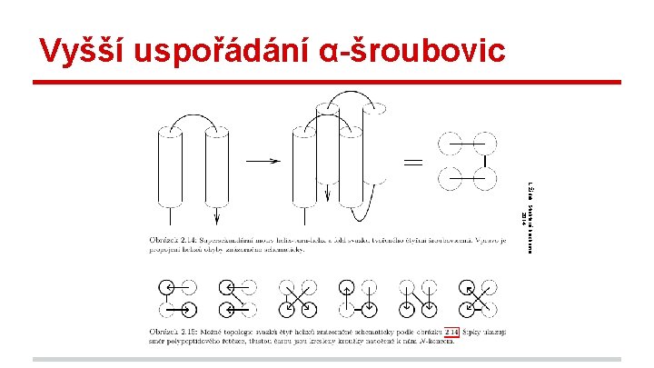 Vyšší uspořádání α-šroubovic L. Žídek, Strukturní biochemie, 2014 