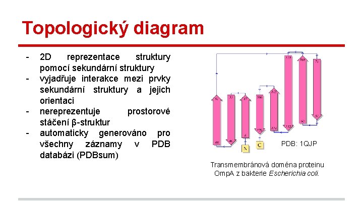 Topologický diagram - 2 D reprezentace struktury pomocí sekundární struktury vyjadřuje interakce mezi prvky