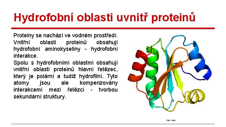 Hydrofobní oblasti uvnitř proteinů Proteiny se nachází ve vodném prostředí. Vnitřní oblasti proteinů obsahují