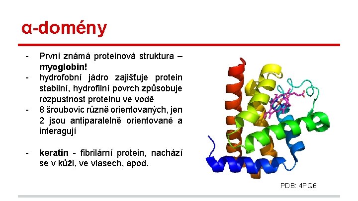 α-domény - - První známá proteinová struktura – myoglobin! hydrofobní jádro zajišťuje protein stabilní,