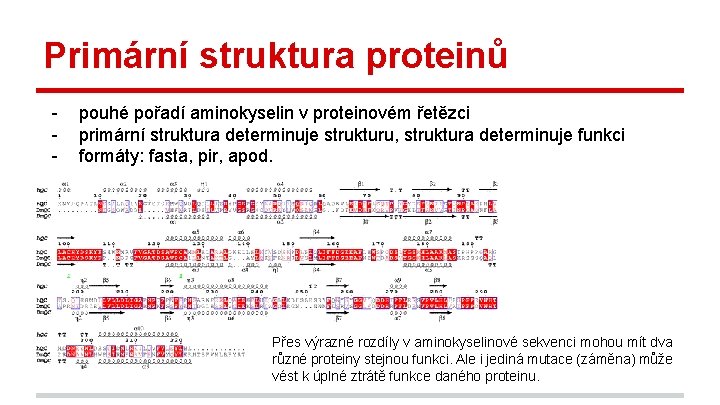Primární struktura proteinů - pouhé pořadí aminokyselin v proteinovém řetězci primární struktura determinuje strukturu,