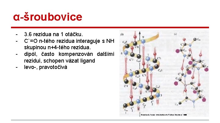 α-šroubovice - 3. 6 rezidua na 1 otáčku. C`=O n-tého rezidua interaguje s NH