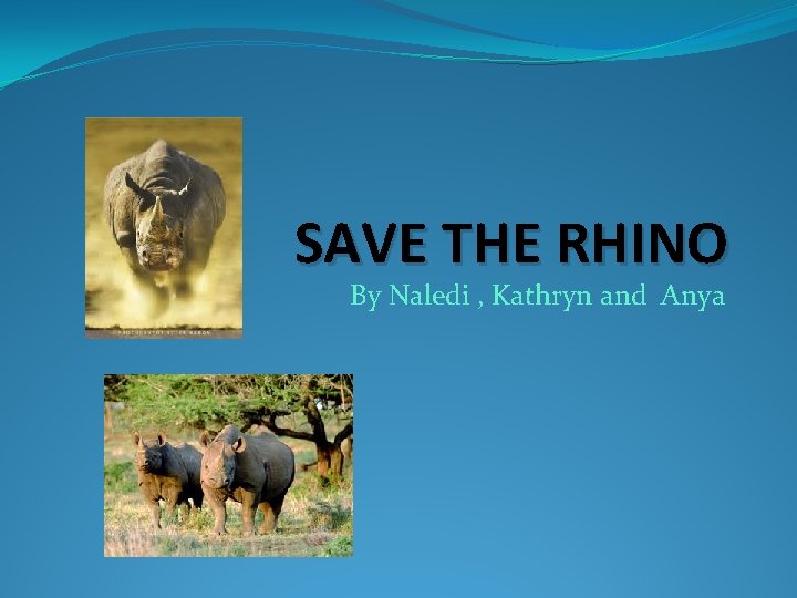 SAVE THE RHINO By Naledi , Kathryn and Anya 