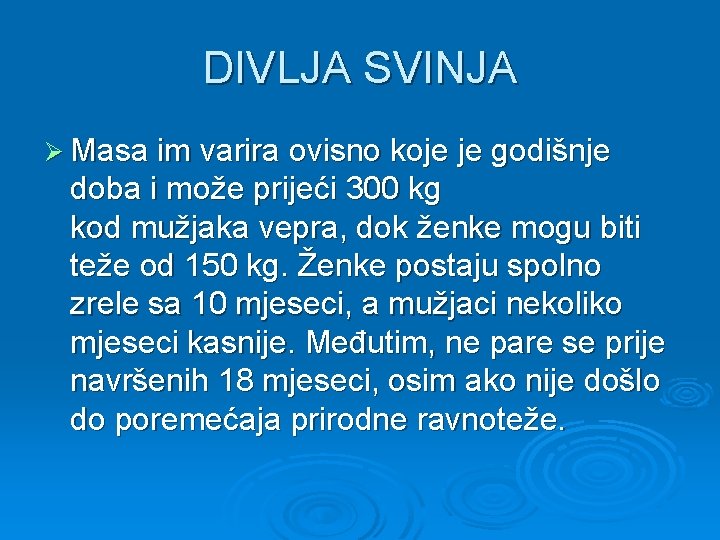 DIVLJA SVINJA Ø Masa im varira ovisno koje je godišnje doba i može prijeći DIVLJA SVINJA Ø Masa im varira ovisno koje je godišnje doba i može prijeći