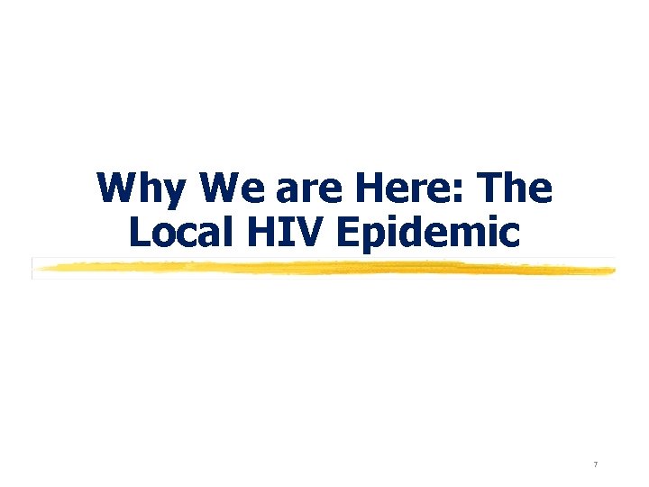 Why We are Here: The Local HIV Epidemic 7 