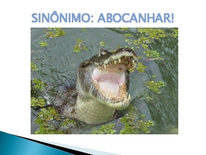 SINÔNIMO: ABOCANHAR! 