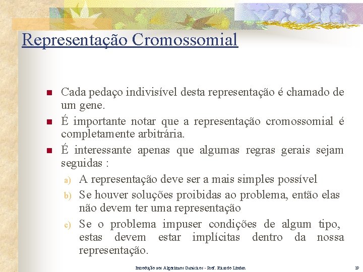 Representação Cromossomial n n n Cada pedaço indivisível desta representação é chamado de um