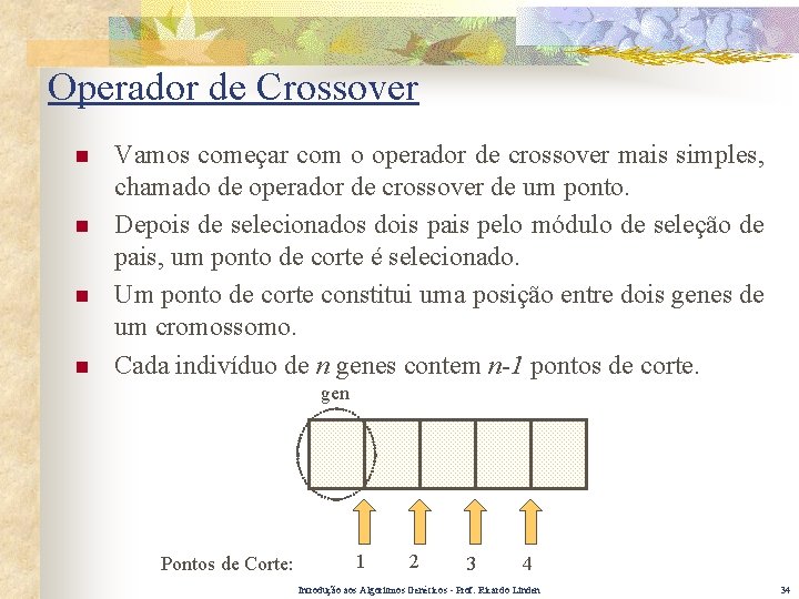 Operador de Crossover n n Vamos começar com o operador de crossover mais simples,