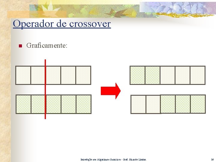 Operador de crossover n Graficamente: Introdução aos Algoritmos Genéticos - Prof. Ricardo Linden 36