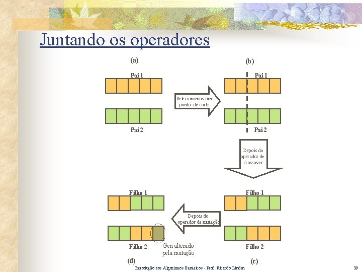 Juntando os operadores (a) (b) Pai 1 Selecionamos um ponto de corte Pai 2