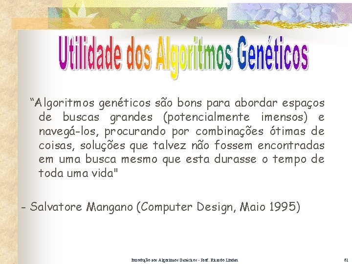 “Algoritmos genéticos são bons para abordar espaços de buscas grandes (potencialmente imensos) e navegá-los,