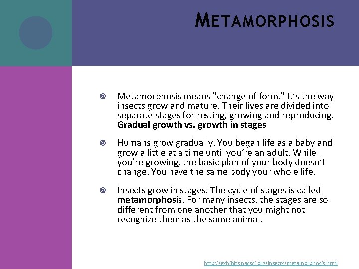 M ETAMORPHOSIS Metamorphosis means "change of form. " It’s the way insects grow and M ETAMORPHOSIS Metamorphosis means "change of form. " It’s the way insects grow and