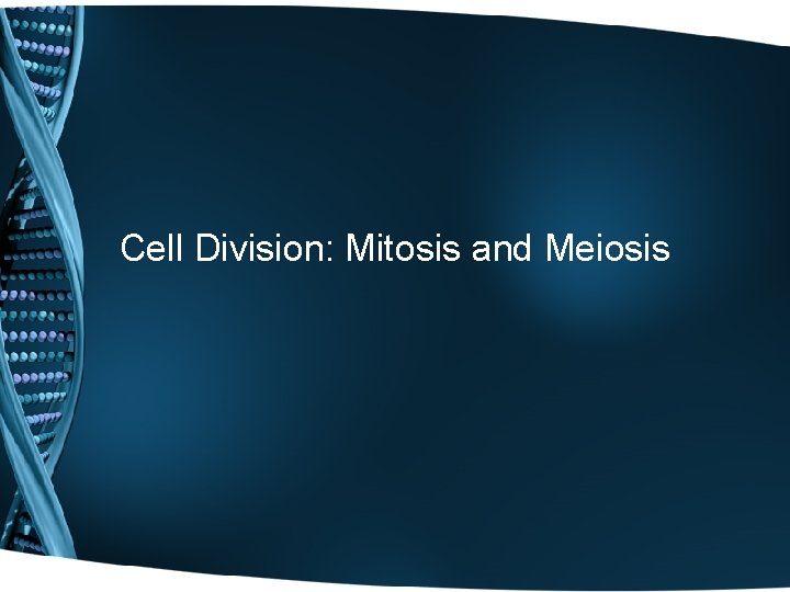 Cell Division: Mitosis and Meiosis 