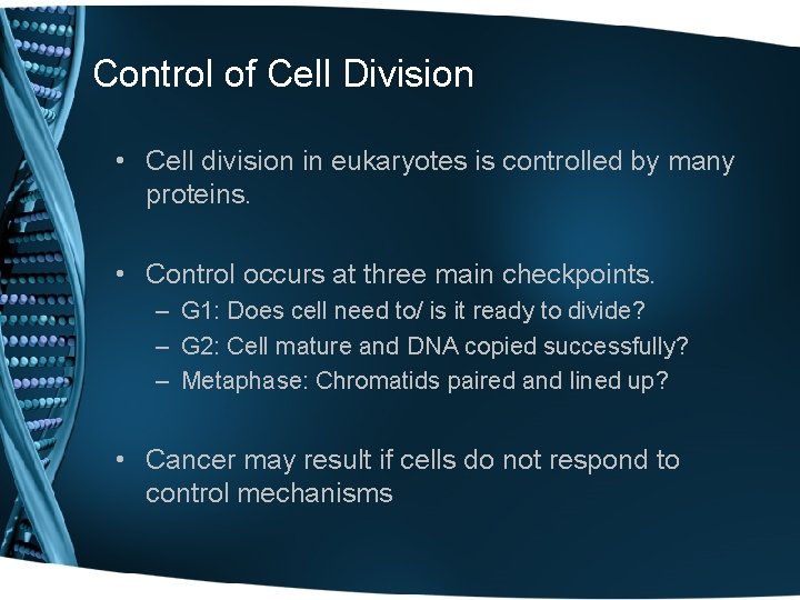 Control of Cell Division • Cell division in eukaryotes is controlled by many proteins.