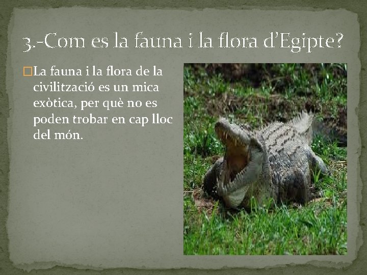 3. -Com es la fauna i la flora d’Egipte? �La fauna i la flora