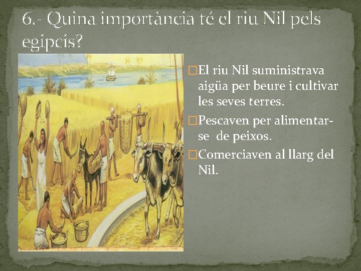 6. - Quina importància té el riu Nil pels egipcis? �El riu Nil suministrava