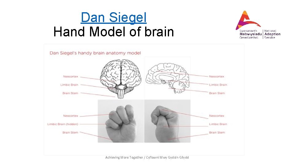 Dan Siegel Hand Model of brain Achieving More Together / Cyflawni Mwy Gyda'n Gilydd