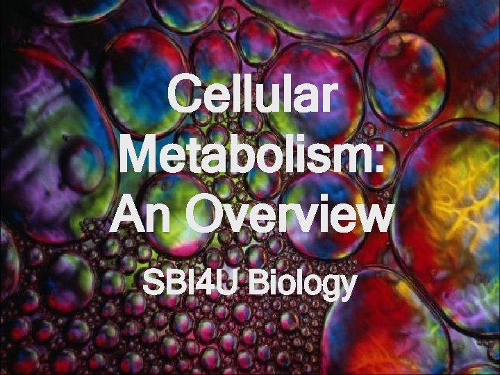 Cellular Metabolism: An Overview SBI 4 U Biology 