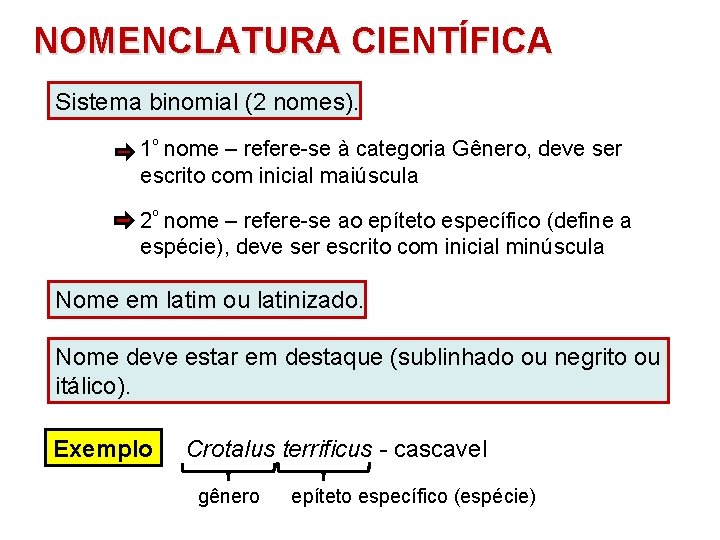 NOMENCLATURA CIENTÍFICA Sistema binomial (2 nomes). 1º nome – refere-se à categoria Gênero, deve