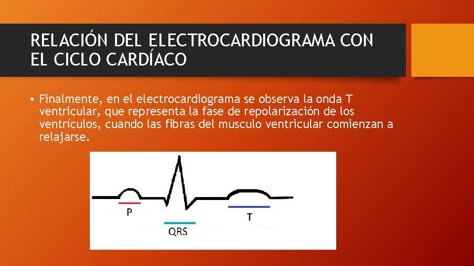 RELACIÓN DEL ELECTROCARDIOGRAMA CON EL CICLO CARDÍACO • Finalmente, en el electrocardiograma se observa