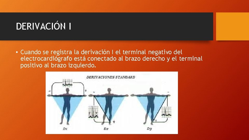 DERIVACIÓN I • Cuando se registra la derivación I el terminal negativo del electrocardiógrafo