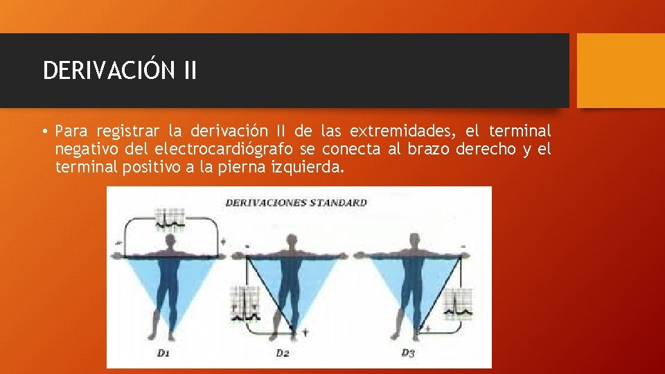 DERIVACIÓN II • Para registrar la derivación II de las extremidades, el terminal negativo