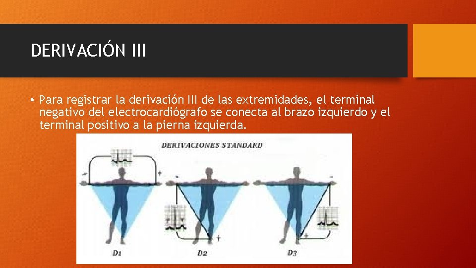 DERIVACIÓN III • Para registrar la derivación III de las extremidades, el terminal negativo
