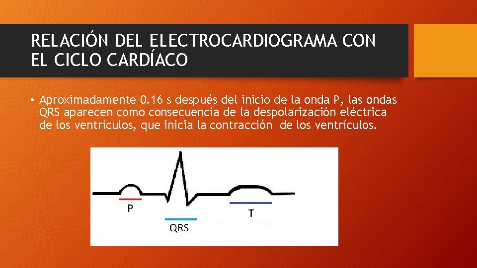RELACIÓN DEL ELECTROCARDIOGRAMA CON EL CICLO CARDÍACO • Aproximadamente 0. 16 s después del