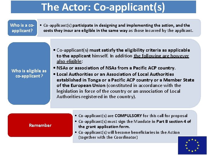 The Actor: Co-applicant(s) Who is a co- • Co-applicant(s) participate in designing and implementing