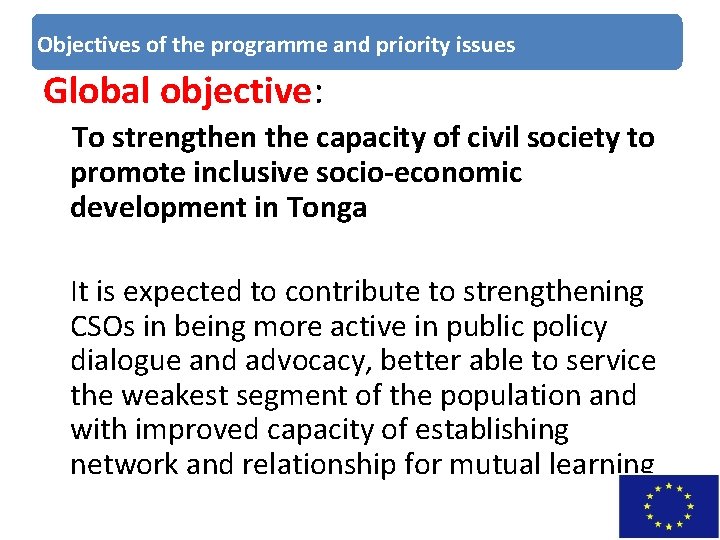 Objectives of the programme and priority issues Global objective: To strengthen the capacity of