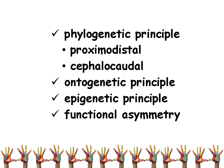 ü phylogenetic principle • proximodistal • cephalocaudal ü ontogenetic principle ü epigenetic principle ü