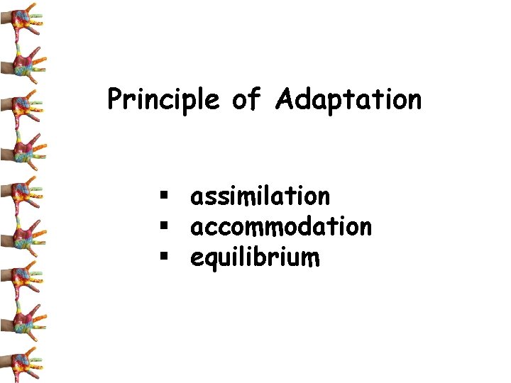 Principle of Adaptation § assimilation § accommodation § equilibrium 