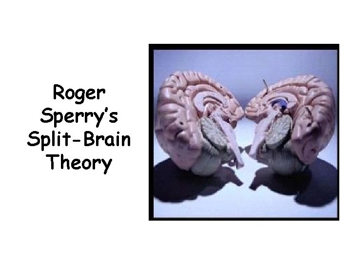 Roger Sperry’s Split-Brain Theory 