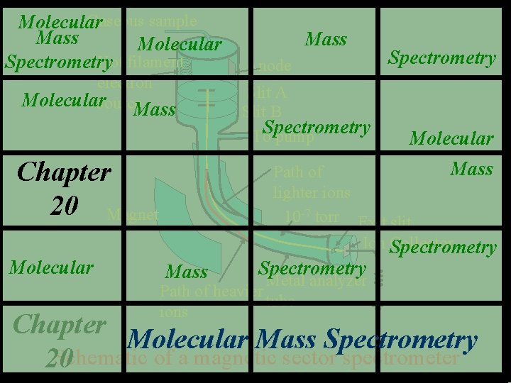 Gaseous sample Molecular Mass Molecular Hot filament Spectrometry electron Molecularsource. Mass Chapter 20 Magnet
