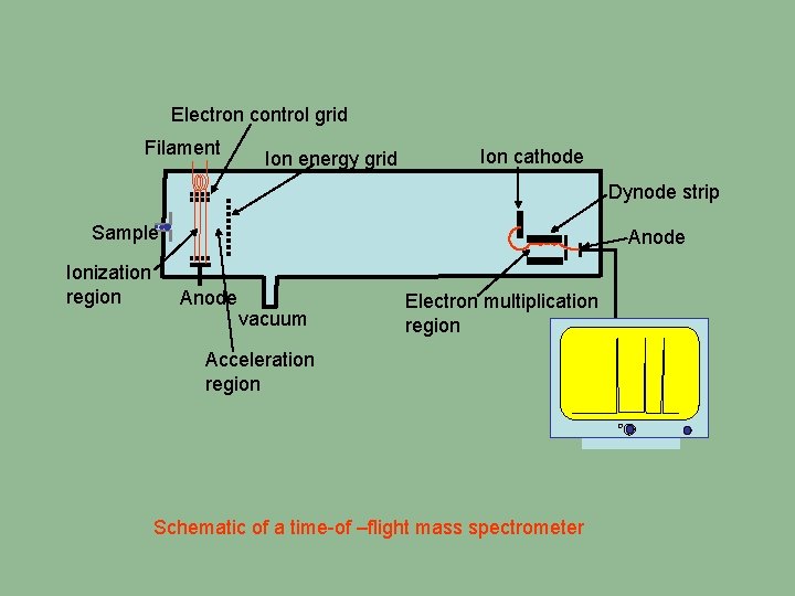 Electron control grid Filament Ion energy grid Ion cathode Dynode strip Sample Ionization region