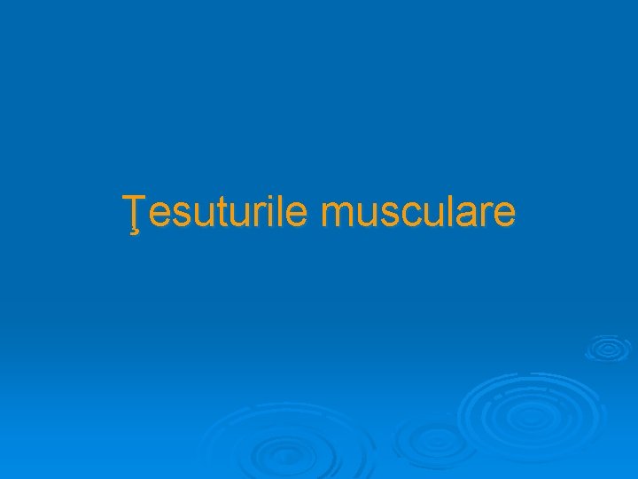 Ţesuturile musculare 