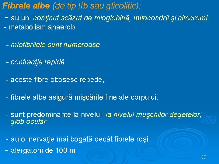 Fibrele albe (de tip IIb sau glicolitic): - au un conţinut scăzut de mioglobină,