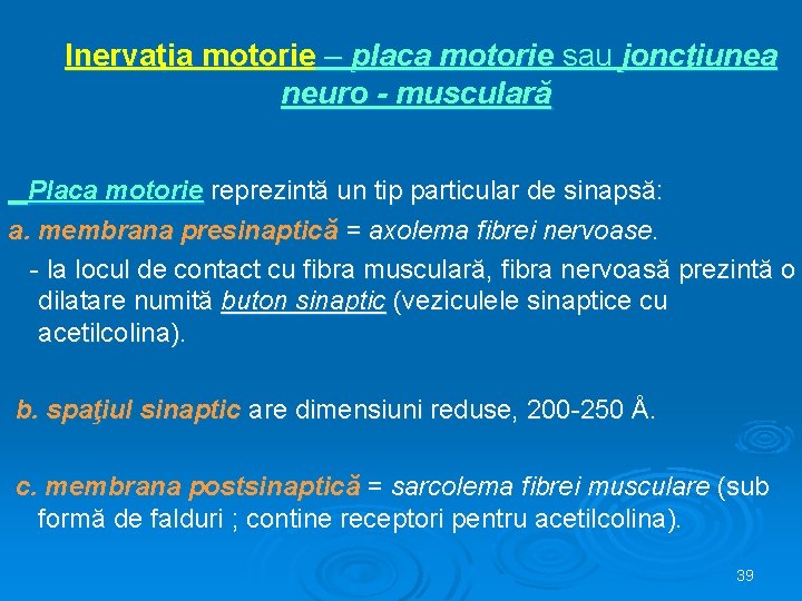 Inervaţia motorie – placa motorie sau joncţiunea neuro - musculară Placa motorie reprezintă un