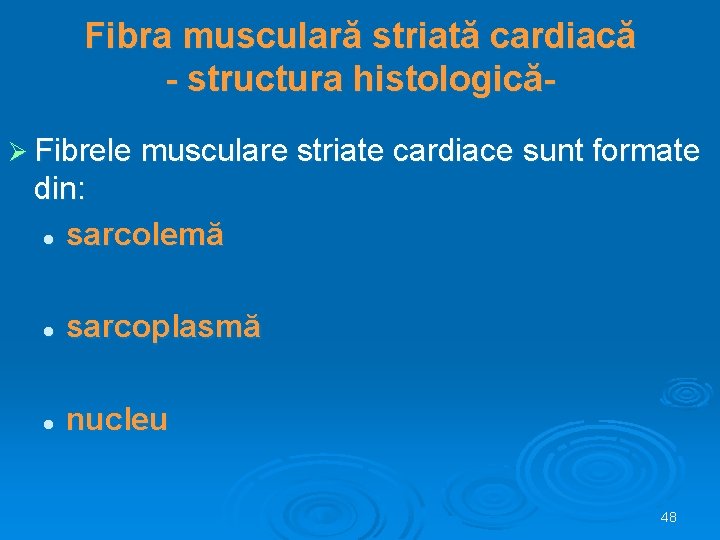 Fibra musculară striată cardiacă - structura histologicăØ Fibrele musculare striate cardiace sunt formate din: