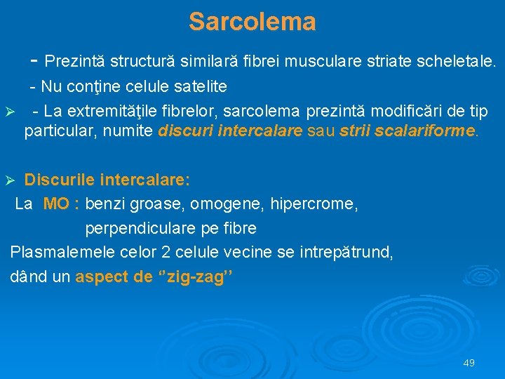 Sarcolema - Prezintă structură similară fibrei musculare striate scheletale. - Nu conţine celule satelite