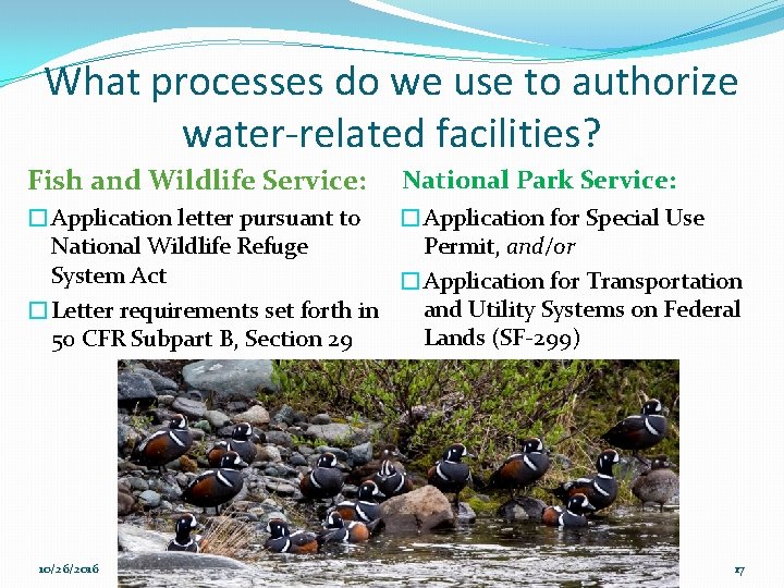 What processes do we use to authorize water-related facilities? Fish and Wildlife Service: National