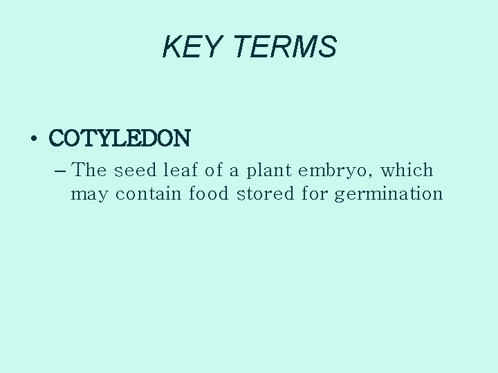 KEY TERMS • COTYLEDON – The seed leaf of a plant embryo, which may