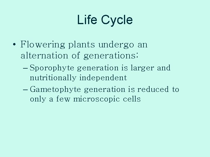 Life Cycle • Flowering plants undergo an alternation of generations: – Sporophyte generation is