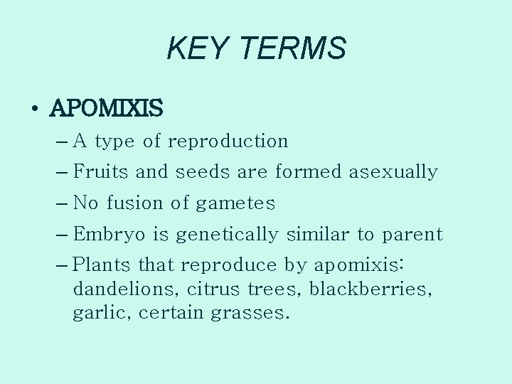 KEY TERMS • APOMIXIS – A type of reproduction – Fruits and seeds are